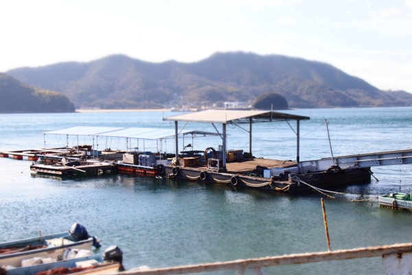 専用桟橋